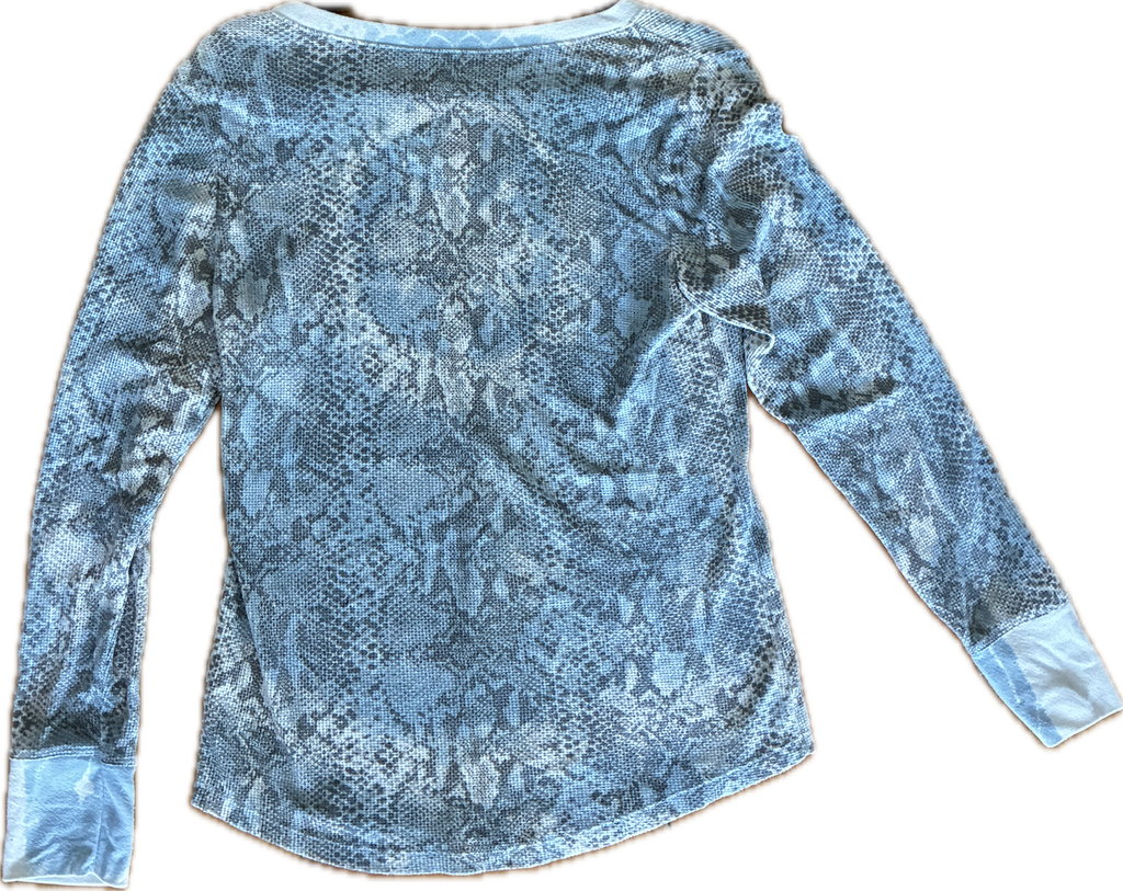 Blue snake