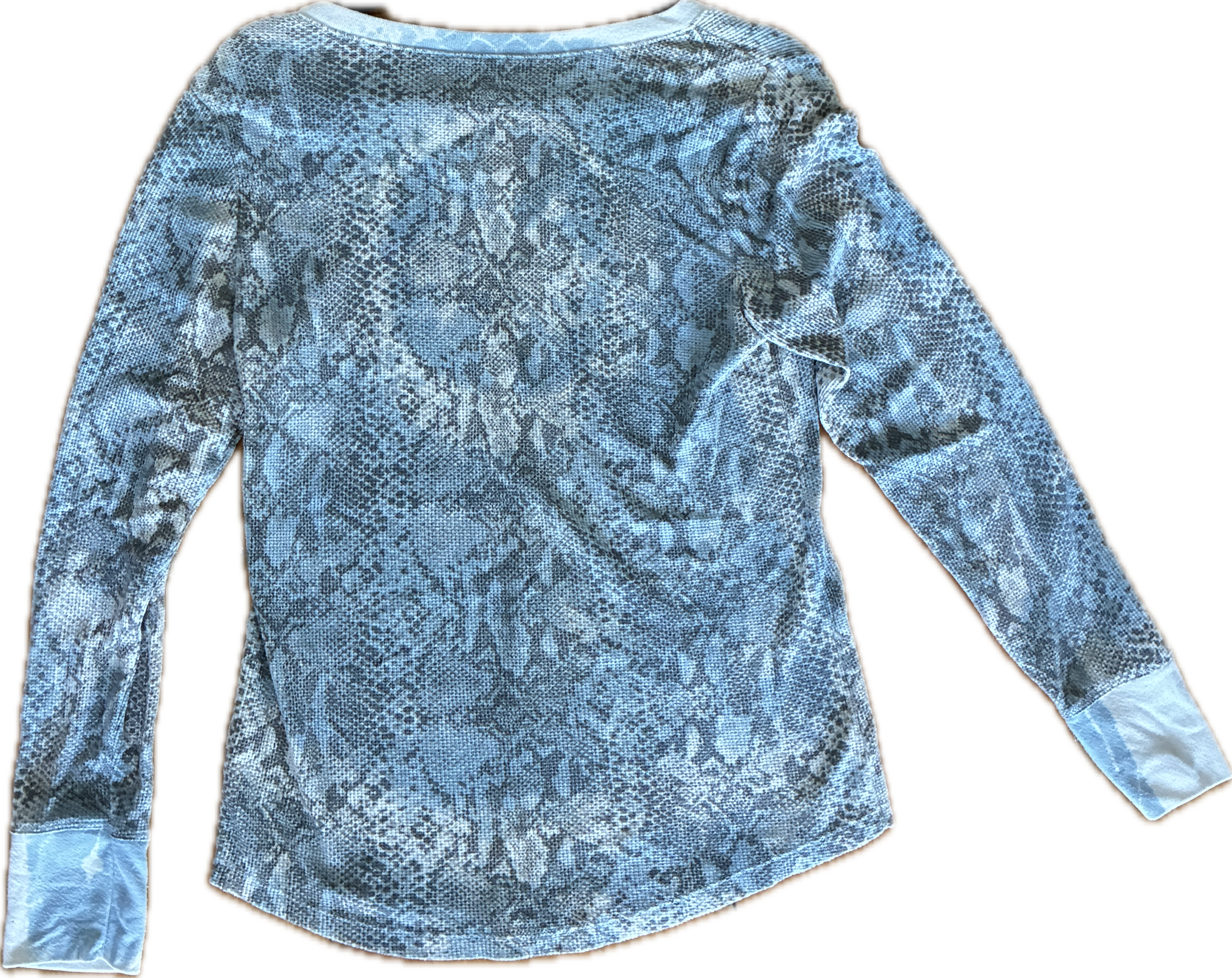 Blue snake